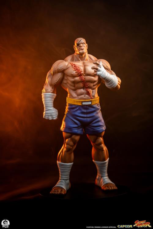 Street Fighter Street Jam Sagat & Juli 1/10 Scale Statue Set Gallery Image 4