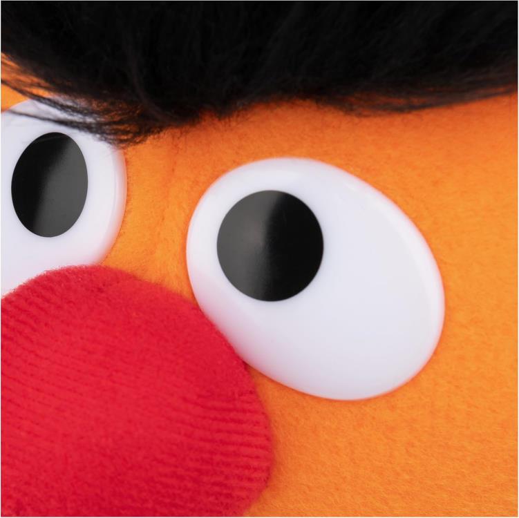 Sesame Street Ernie Plush Gallery Image 5