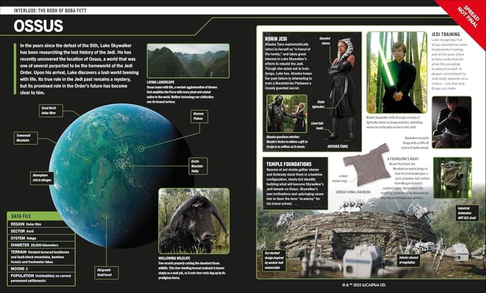 Star Wars: The Mandalorian Visual Guide Gallery Image 5