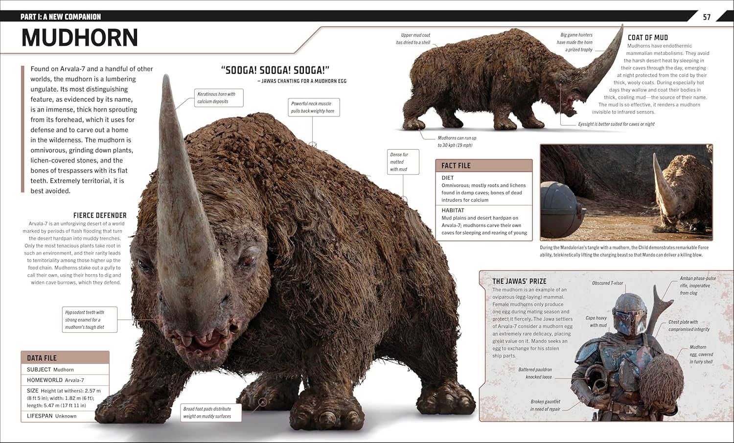 Star Wars: The Mandalorian Visual Guide Gallery Image 3