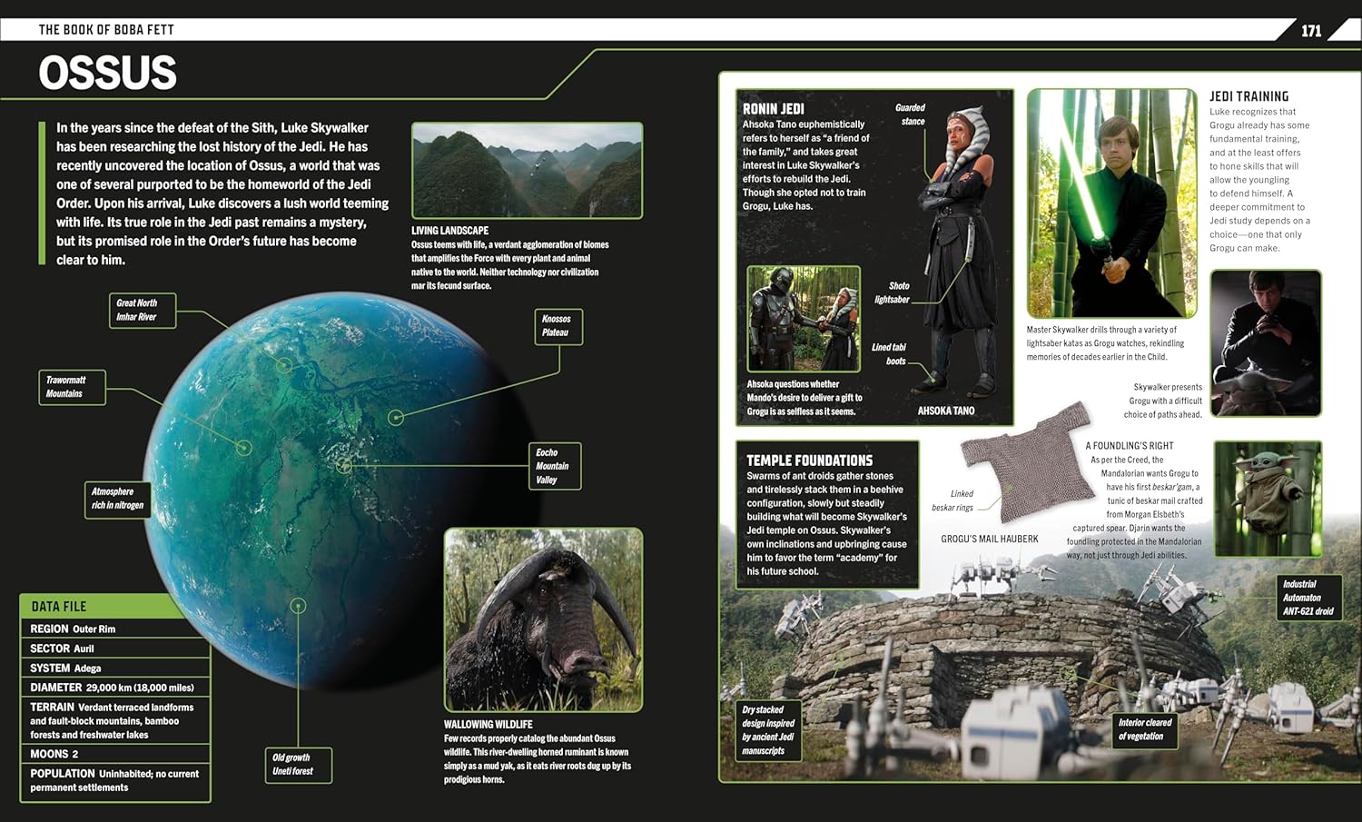 Star Wars: The Mandalorian Visual Guide Gallery Image 6