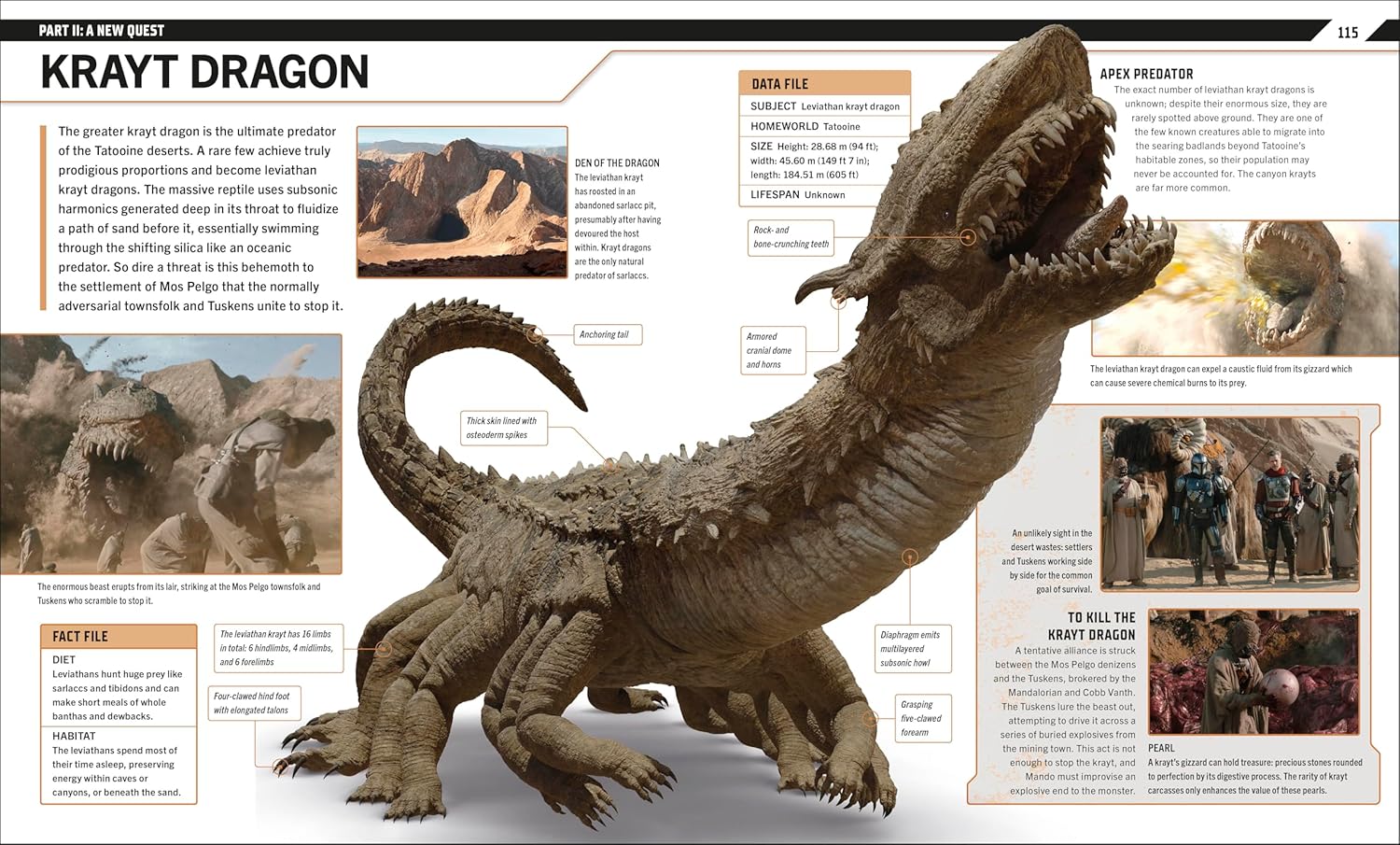 Star Wars: The Mandalorian Visual Guide Gallery Image 5
