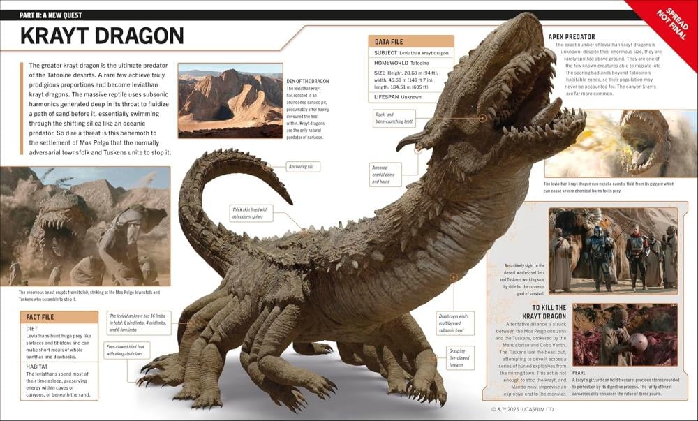 Star Wars: The Mandalorian Visual Guide Gallery Image 4