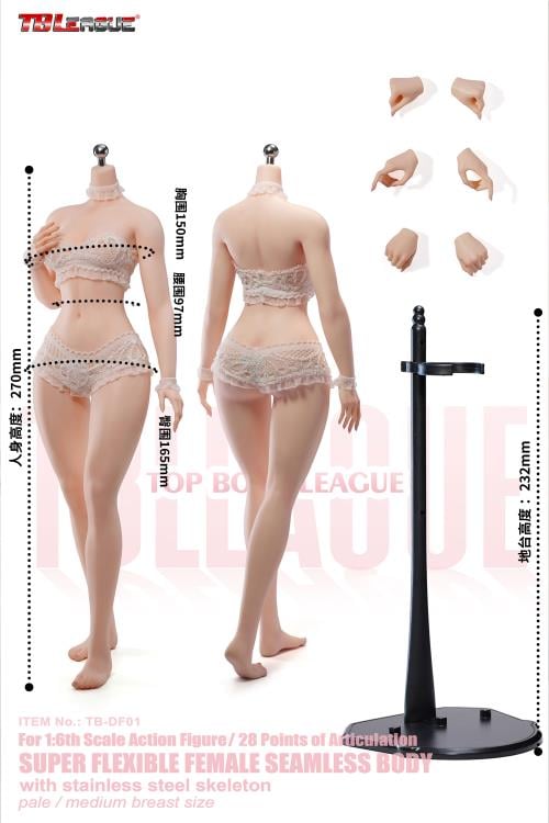 Female Body (Pale Medium Bust) 1/6 Scale Action Figure (TB-DF01 Without Head Sculpt) Gallery Image 3