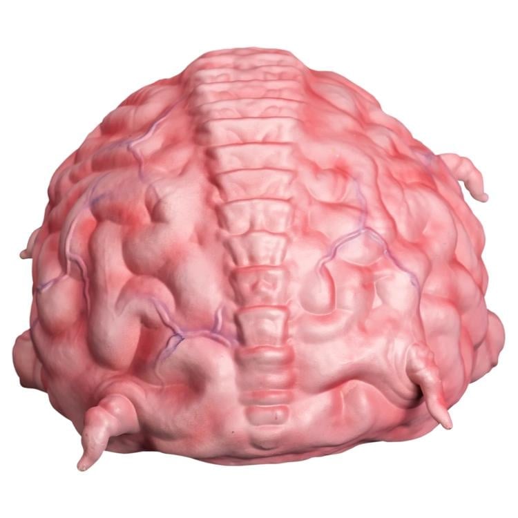 Teenage Mutant Ninja Turtles Krang 1/1 Scale Prop Gallery Image 4