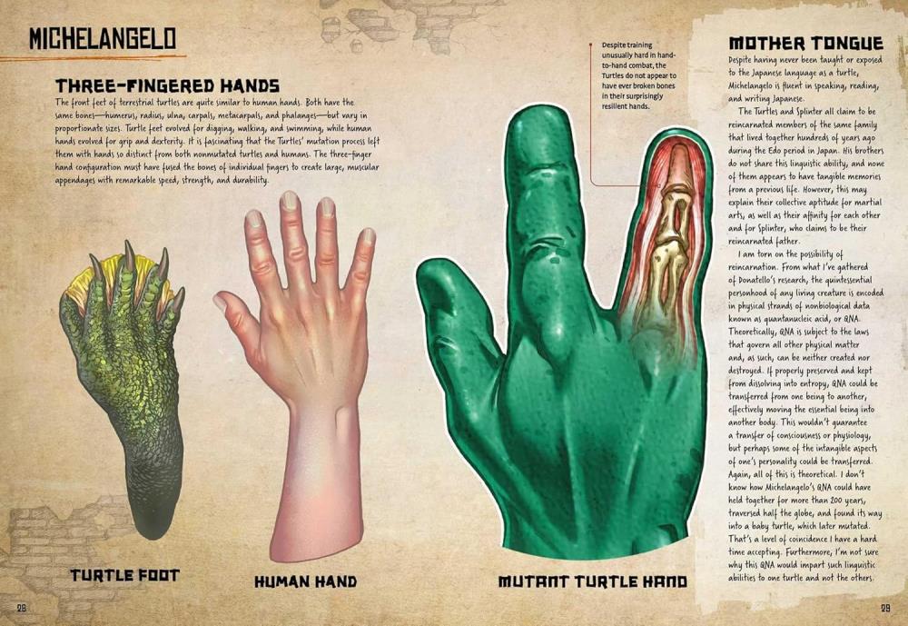 Teenage Mutant Ninja Turtles: Anatomy of a Mutant Gallery Image 6