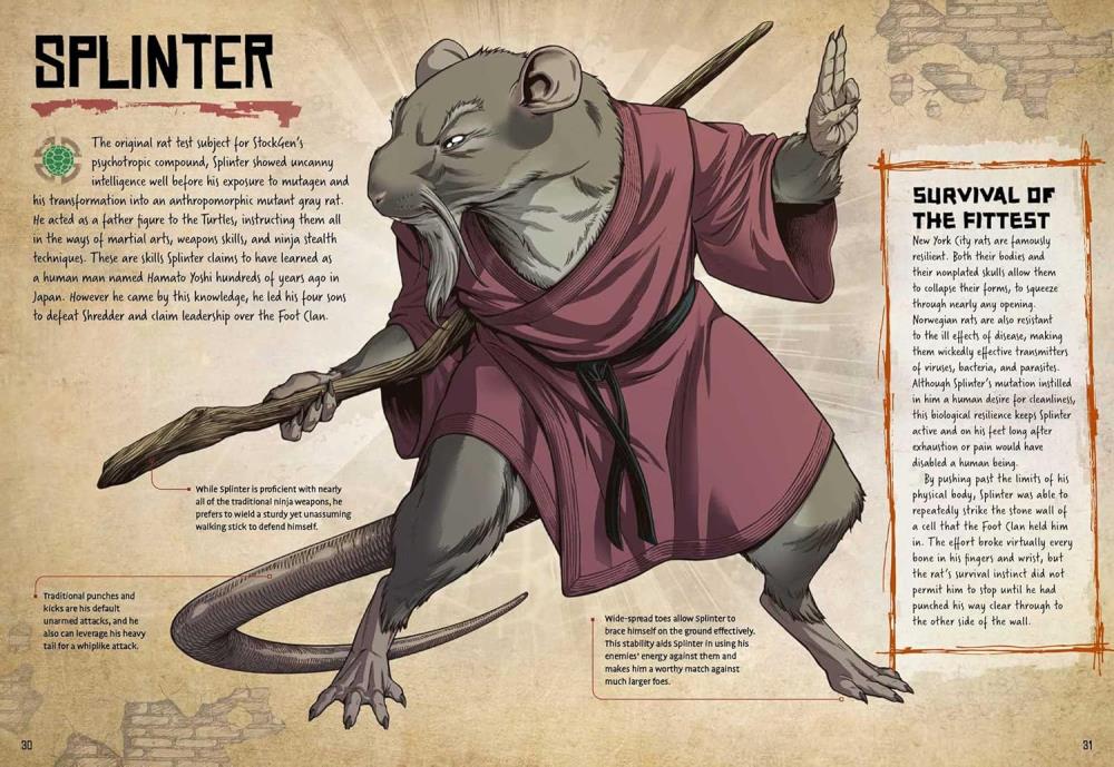Teenage Mutant Ninja Turtles: Anatomy of a Mutant Gallery Image 7