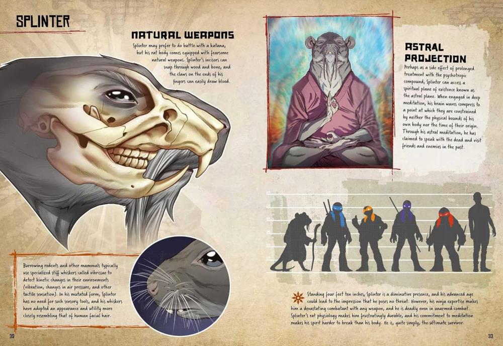 Teenage Mutant Ninja Turtles: Anatomy of a Mutant Gallery Image 8