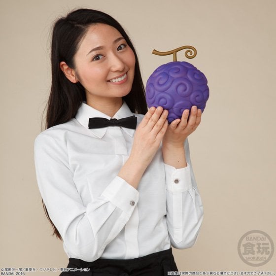 One Piece The Devil Fruit Gomu Gomu no Mi Exclusive Gallery Image 6