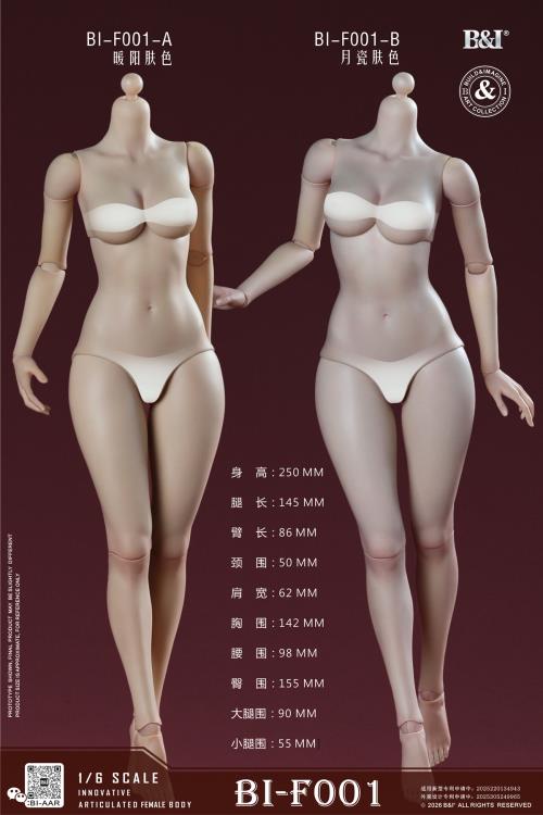 Build&Imagine Art Collection Base 1/6 Scale Figure Body (Ver. A) Gallery Image 3