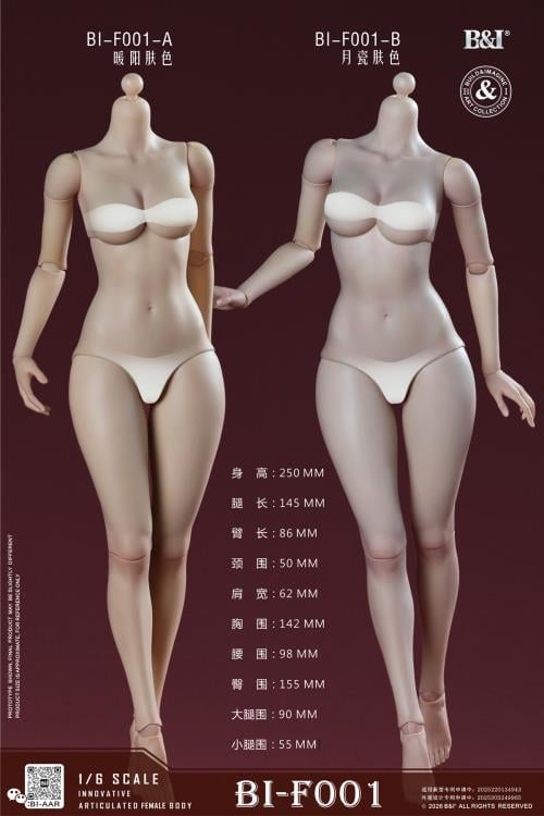 Build&Imagine Art Collection Upgraded 1/6 Scale Figure Body and Head Sculpt Set (Ver. A) Gallery Image 3
