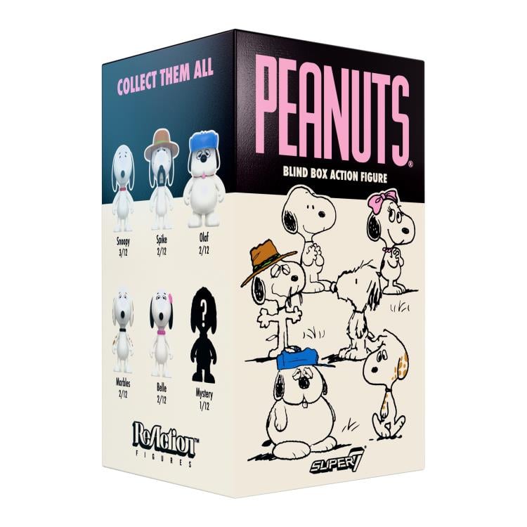 Peanuts ReAction Wave 10 Snoopy's Siblings Box of 12 Random Figures