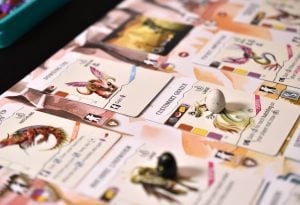 Wyrmspan Gallery Image 8