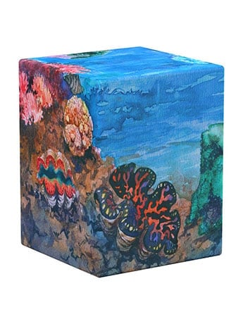 Coral Places Boulder 100+ Seablue Hush Deck Box Gallery Image 2