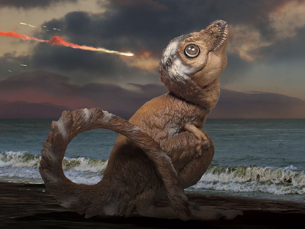 Prehistoric Animal Models Aaron the Juvenile Tyrannosaurus rex Figure Gallery Image 1