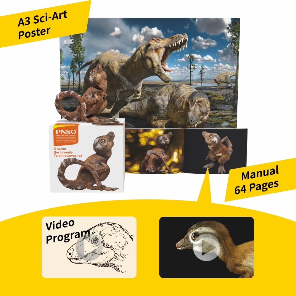 Prehistoric Animal Models Aaron the Juvenile Tyrannosaurus rex Figure Gallery Image 7