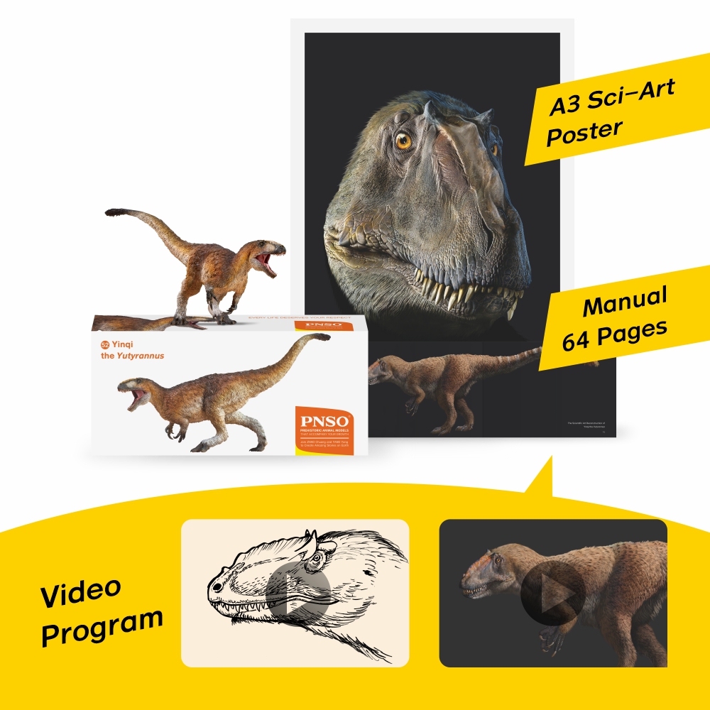 Prehistoric Animal Models Yinqi the Yutyrannus Figure Gallery Image 8