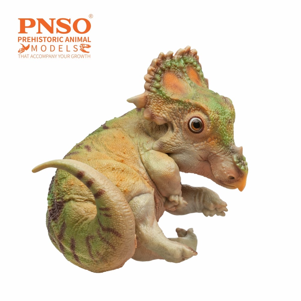 Prehistoric Animal Models A-Qi the Juvenile Sinoceratops Figure Gallery Image 4