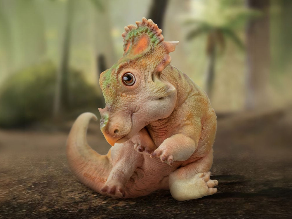 Prehistoric Animal Models A-Qi the Juvenile Sinoceratops Figure Gallery Image 1