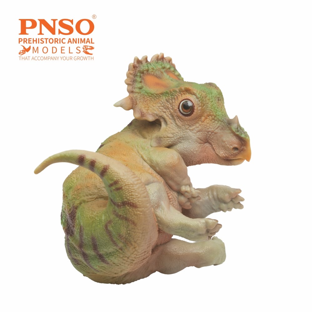 Prehistoric Animal Models A-Qi the Juvenile Sinoceratops Figure Gallery Image 5