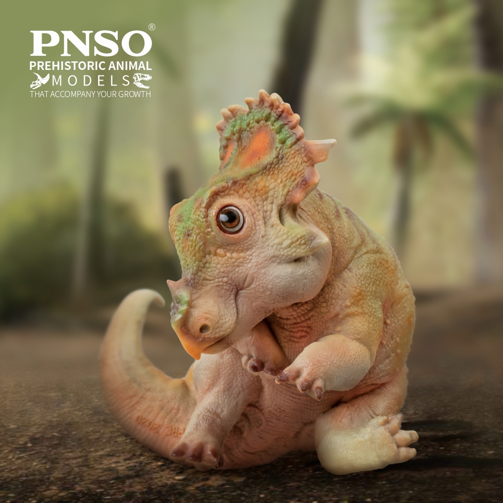Prehistoric Animal Models A-Qi the Juvenile Sinoceratops Figure Gallery Image 3
