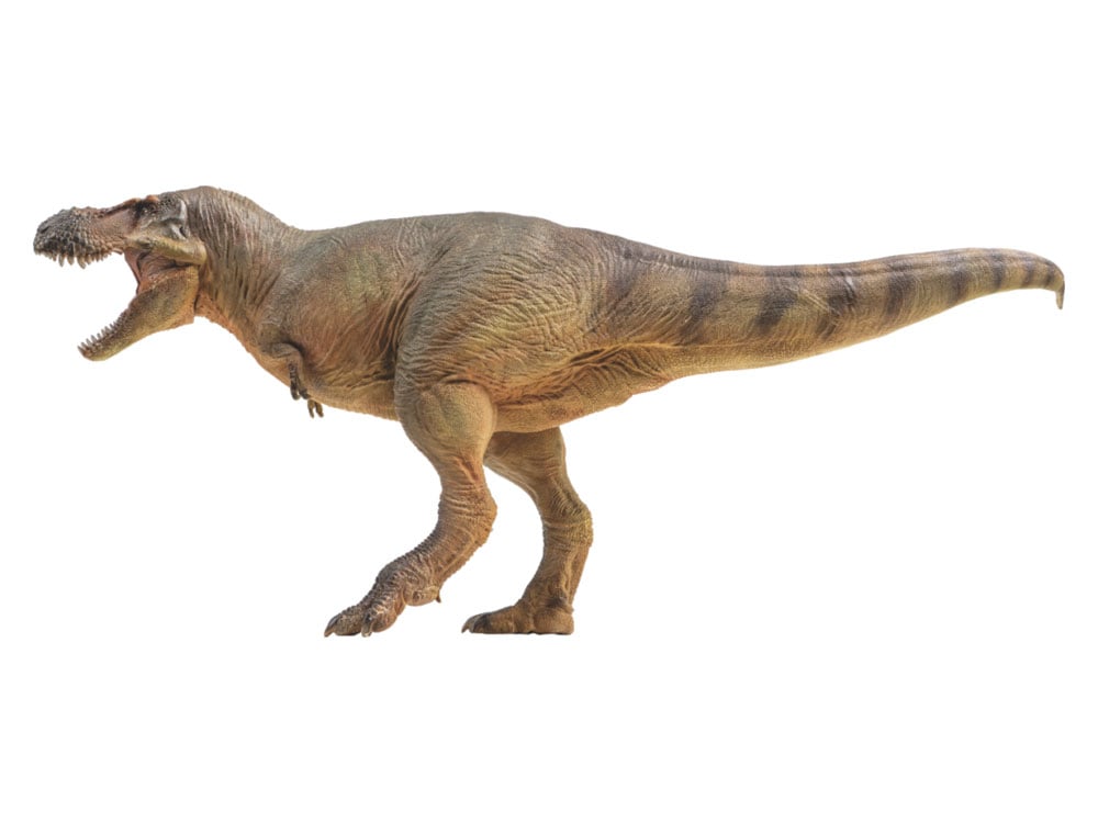 Prehistoric Animal Models Luxiong the Zhuchengtyrannus Figure Gallery Image 5