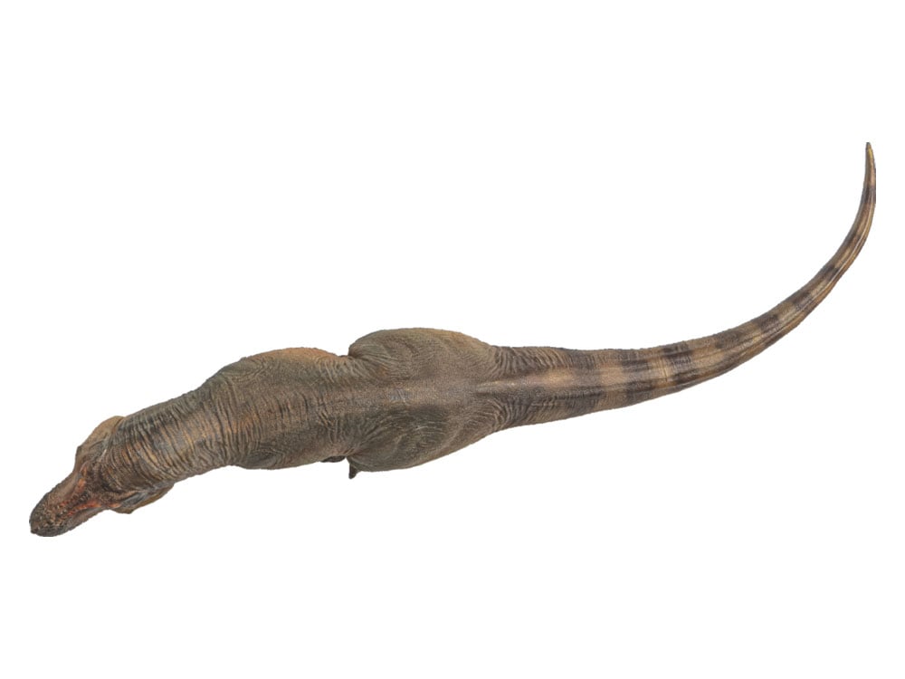 Prehistoric Animal Models Luxiong the Zhuchengtyrannus Figure Gallery Image 6