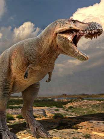 Prehistoric Animal Models Luxiong the Zhuchengtyrannus Figure Gallery Image 2