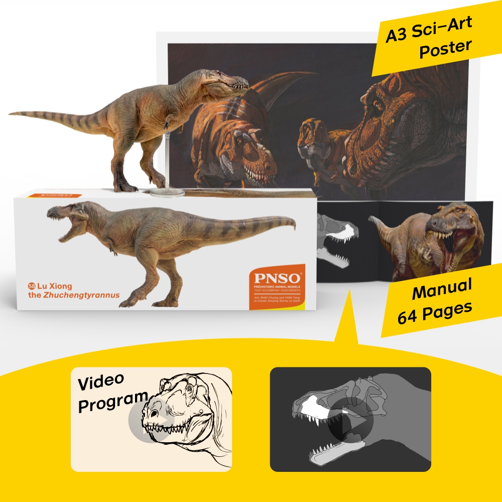 Prehistoric Animal Models Luxiong the Zhuchengtyrannus Figure Gallery Image 9