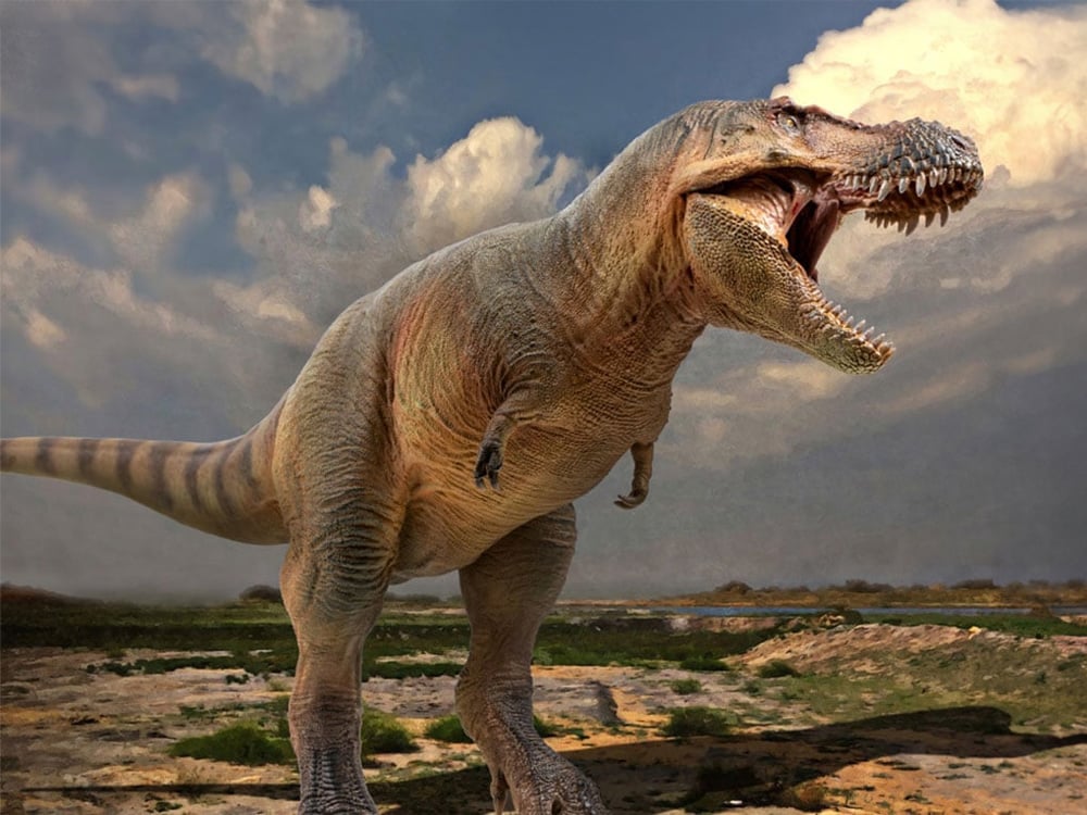 Prehistoric Animal Models Luxiong the Zhuchengtyrannus Figure Gallery Image 1