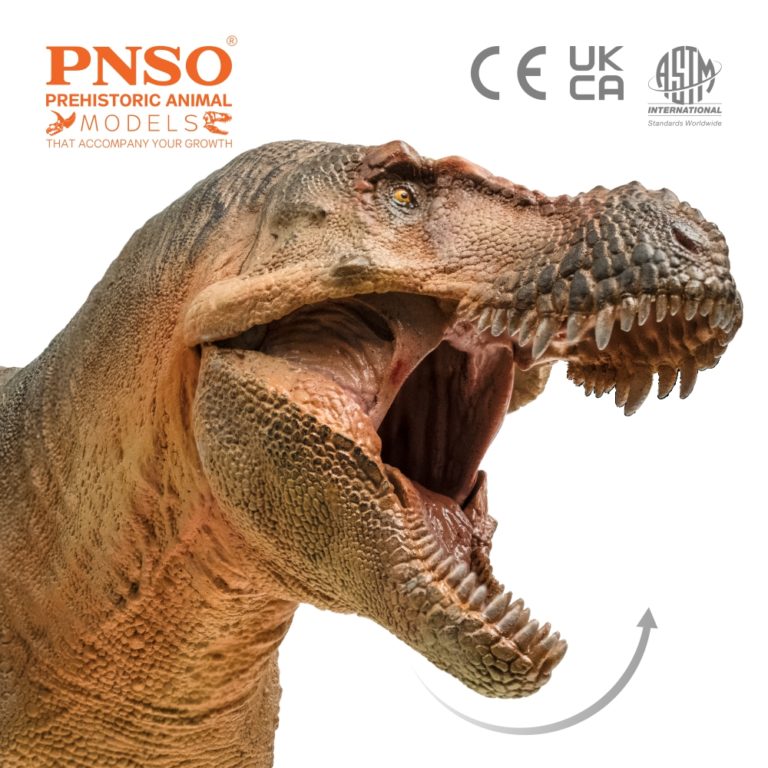 Prehistoric Animal Models Luxiong the Zhuchengtyrannus Figure Gallery Image 7