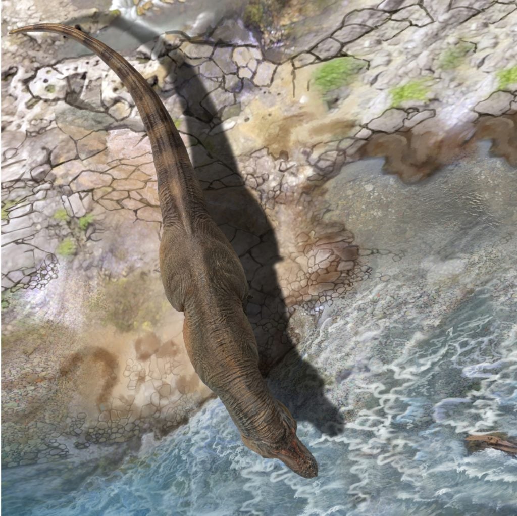 Prehistoric Animal Models Luxiong the Zhuchengtyrannus Figure Gallery Image 4