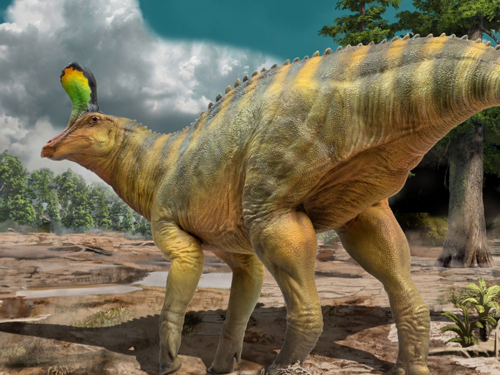 Scientific Art Model Xiaoqin the Tsintaosaurus 1/35 Scale Figure Gallery Image 1