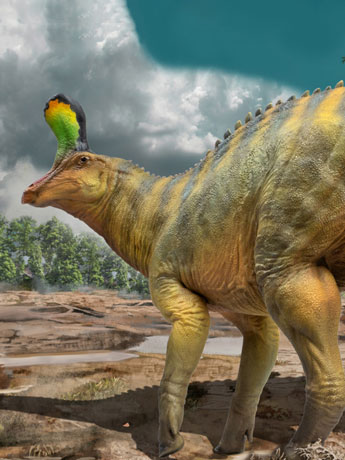 Scientific Art Model Xiaoqin the Tsintaosaurus 1/35 Scale Figure Gallery Image 2