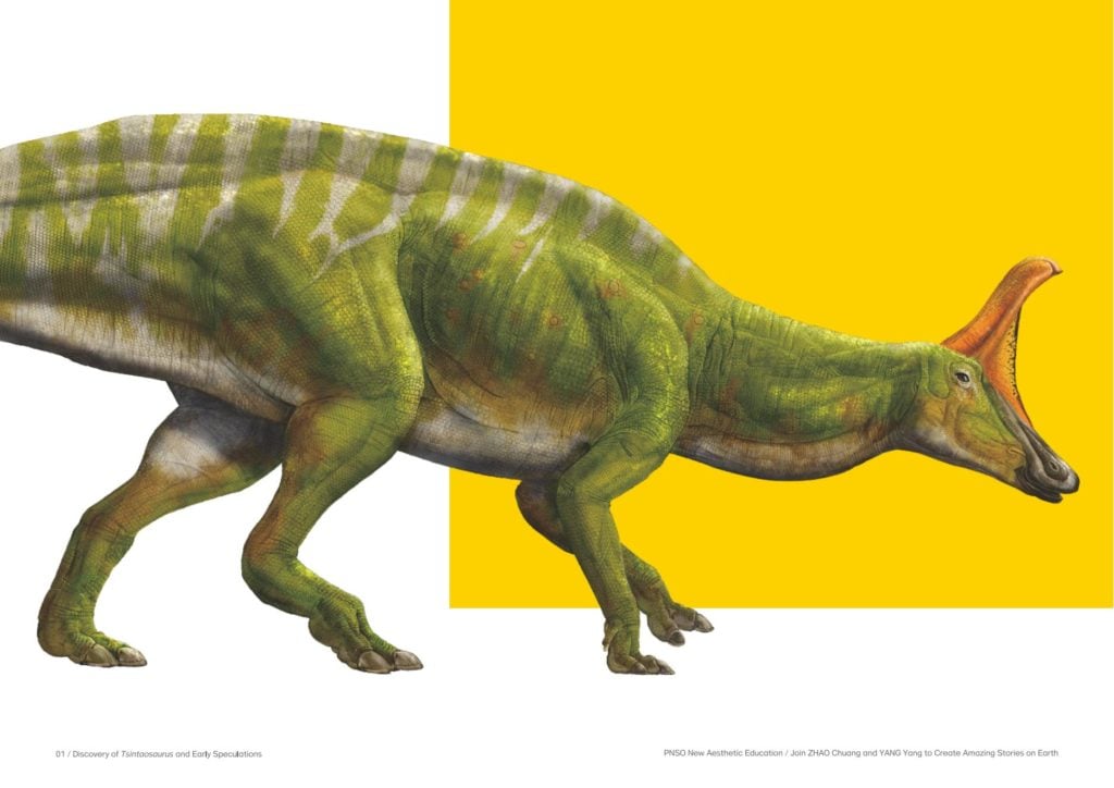 Scientific Art Model Xiaoqin the Tsintaosaurus 1/35 Scale Figure Gallery Image 4