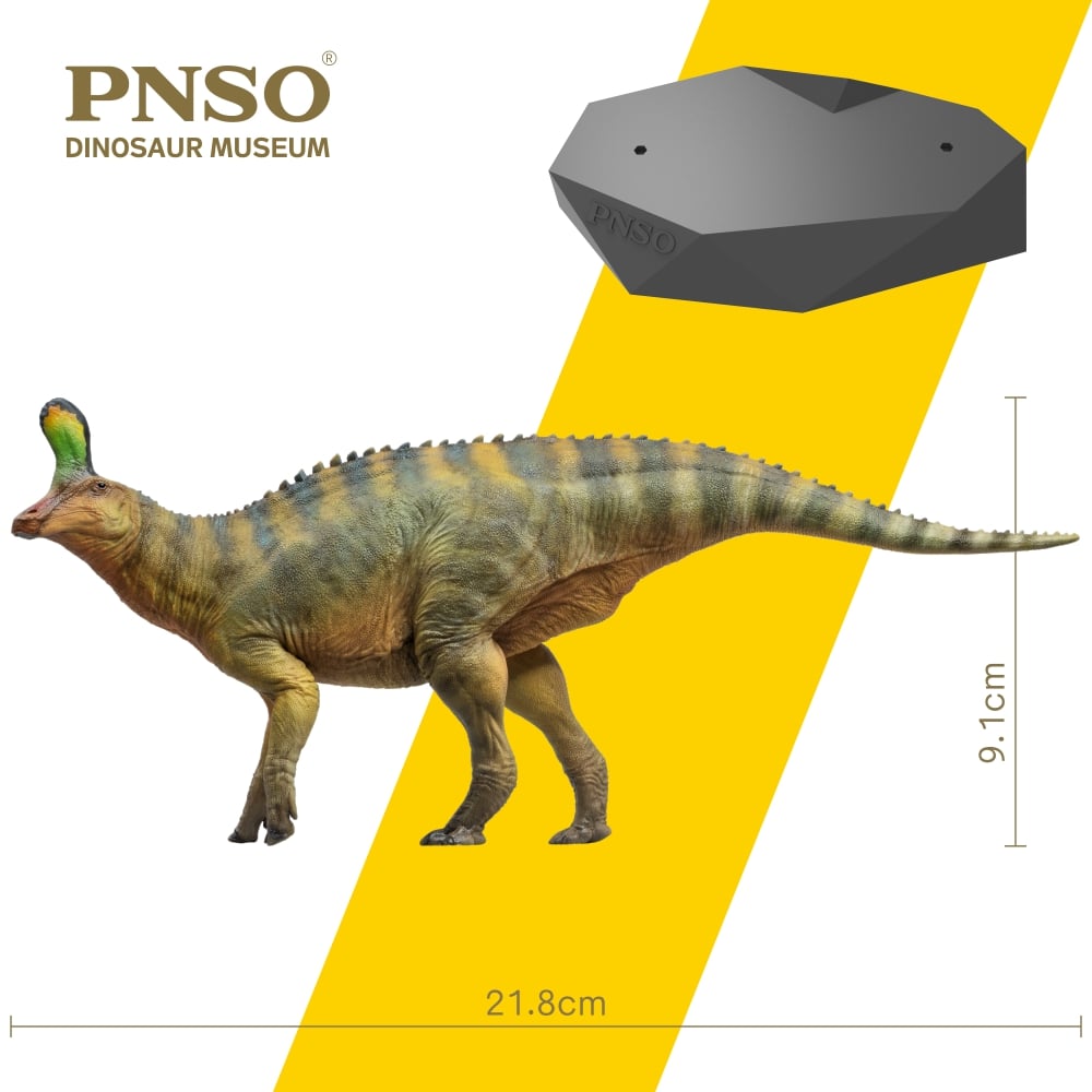 Scientific Art Model Xiaoqin the Tsintaosaurus 1/35 Scale Figure Gallery Image 5