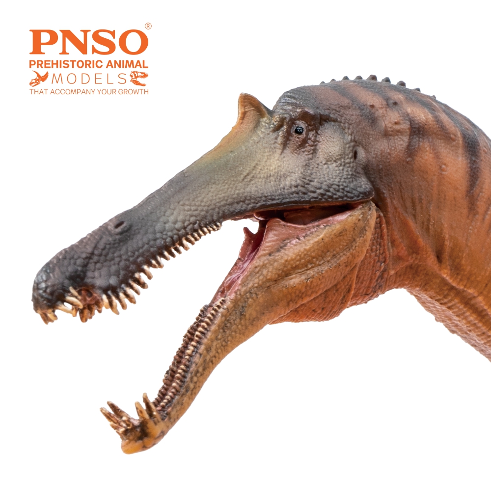 Prehistoric Animal Models Chongzuo the Sinopliosaurus Figure Gallery Image 6