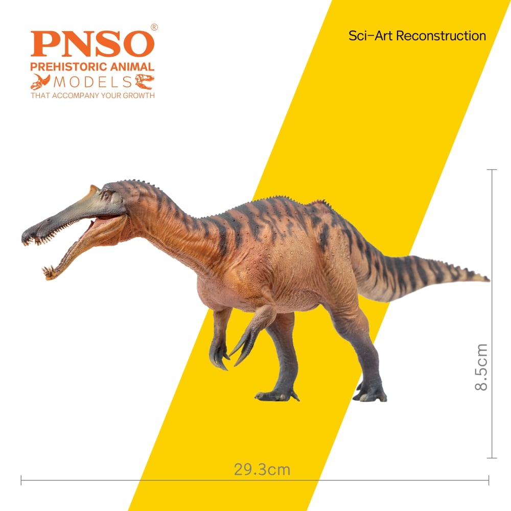 Prehistoric Animal Models Chongzuo the Sinopliosaurus Figure Gallery Image 7