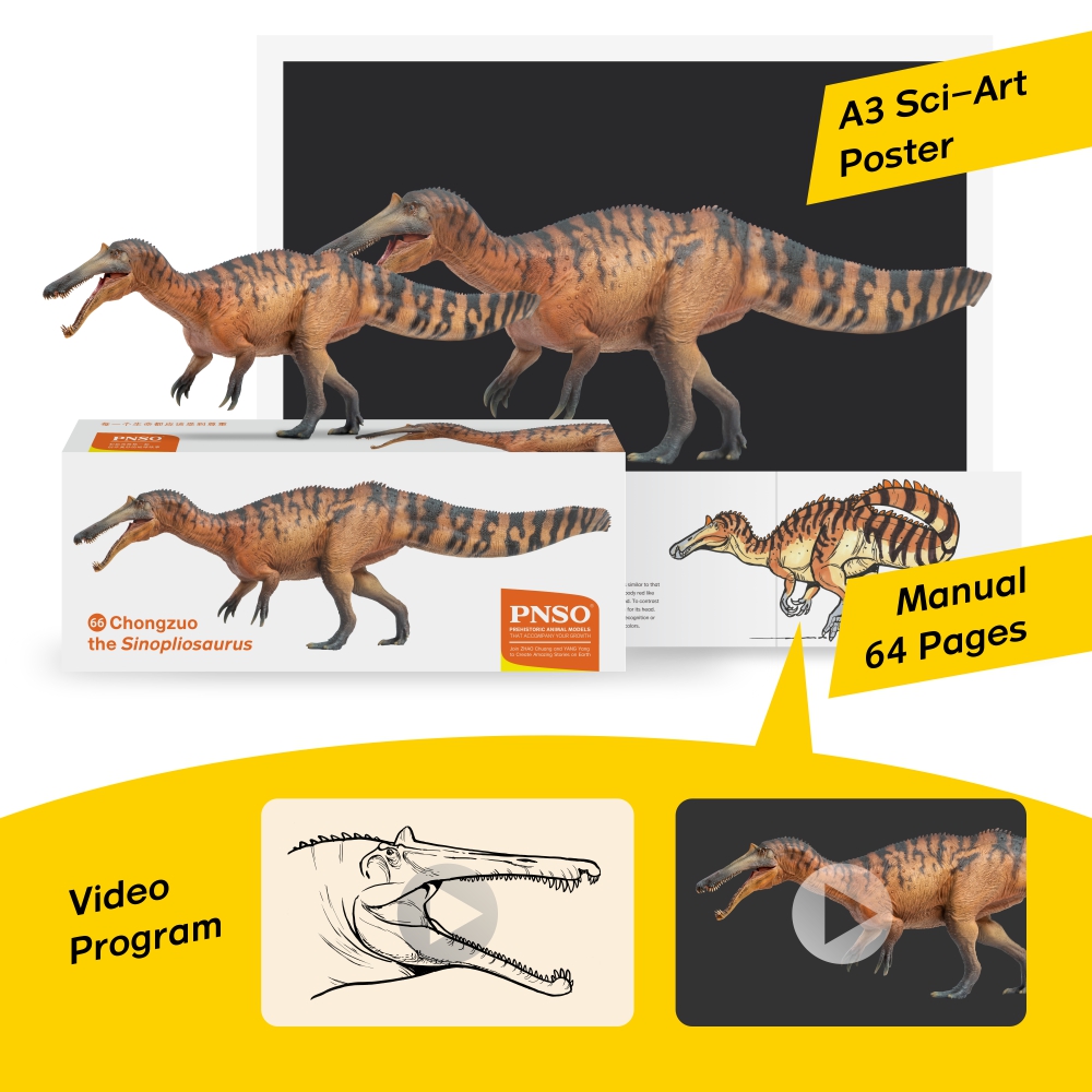 Prehistoric Animal Models Chongzuo the Sinopliosaurus Figure Gallery Image 8
