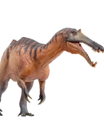Prehistoric Animal Models Chongzuo the Sinopliosaurus Figure Gallery Image 2