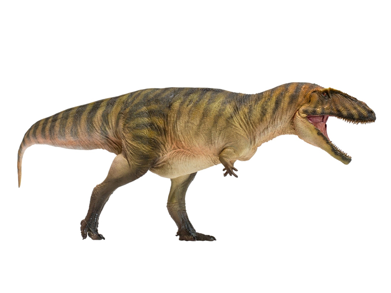 Prehistoric Animal Models Gamba the Carcharodontosaurus Figure Gallery Image 3