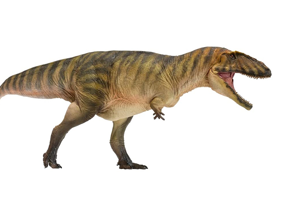 Prehistoric Animal Models Gamba the Carcharodontosaurus Figure Gallery Image 1