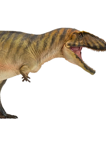 Prehistoric Animal Models Gamba the Carcharodontosaurus Figure Gallery Image 2