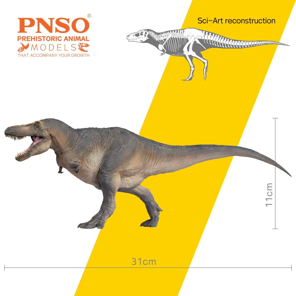 Prehistoric Animal Models Chuanzi the Tarbosaurus Figure Gallery Image 5