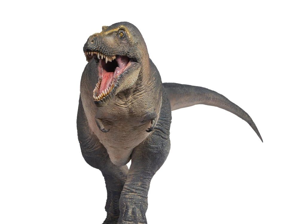 Prehistoric Animal Models Chuanzi the Tarbosaurus Figure Gallery Image 1
