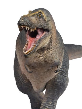 Prehistoric Animal Models Chuanzi the Tarbosaurus Figure Gallery Image 2