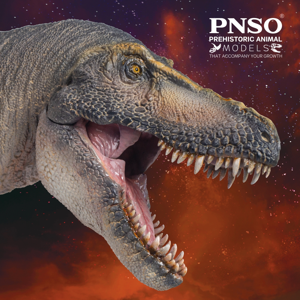 Prehistoric Animal Models Chuanzi the Tarbosaurus Figure Gallery Image 6