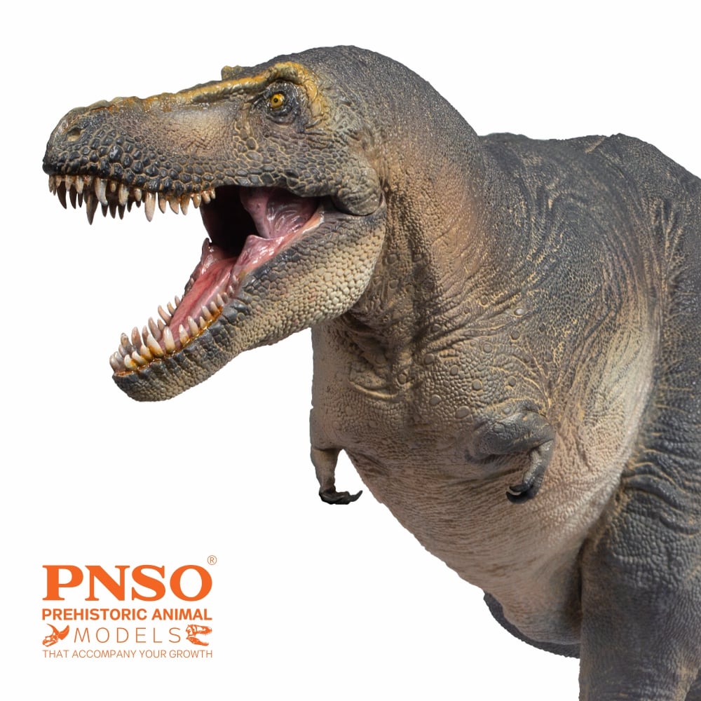 Prehistoric Animal Models Chuanzi the Tarbosaurus Figure Gallery Image 4