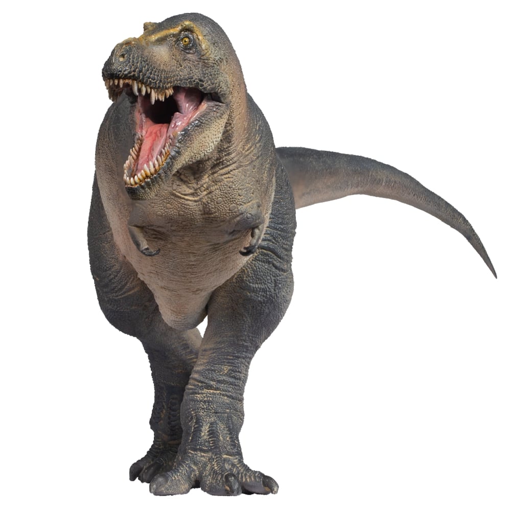 Prehistoric Animal Models Chuanzi the Tarbosaurus Figure Gallery Image 3