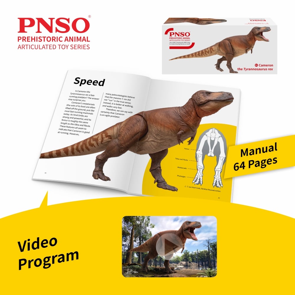 Prehistoric Animal Models Cameron the Tyrannosaurus Rex Figure Gallery Image 9